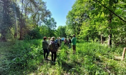 Grupa osób spaceruje pośród drzew